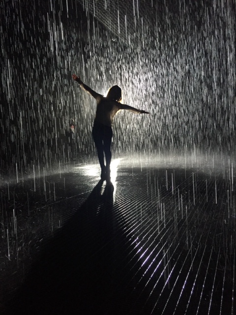 Rain Room At Lacma The Bienstock Group